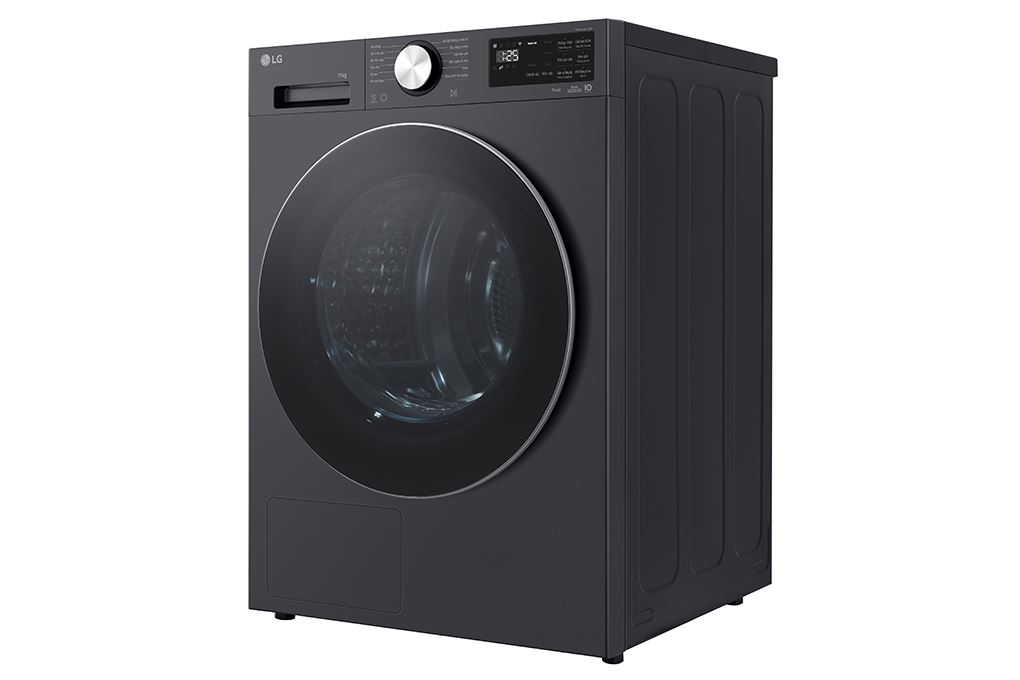 Máy sấy bơm nhiệt LG 11 kg RX11VHP5G1 - 4