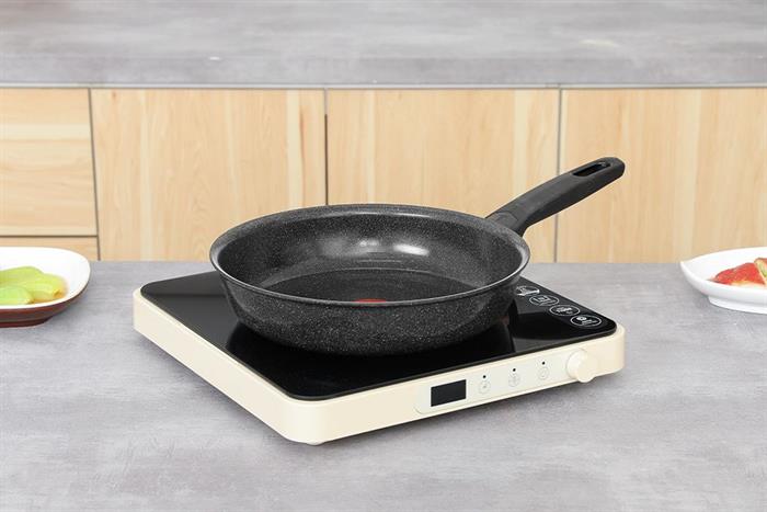 Chảo nhôm chống dính đáy từ 24 cm Tefal Expertise G2020432 Màu Đen