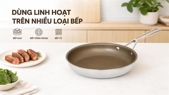 Chảo inox nguyên khối chống dính đáy từ 26 cm Delites TC-TFJG26 Màu Nâu