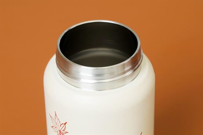 Bình giữ nhiệt Inox 440 ml Delites XBT-HP25106 Màu Cam