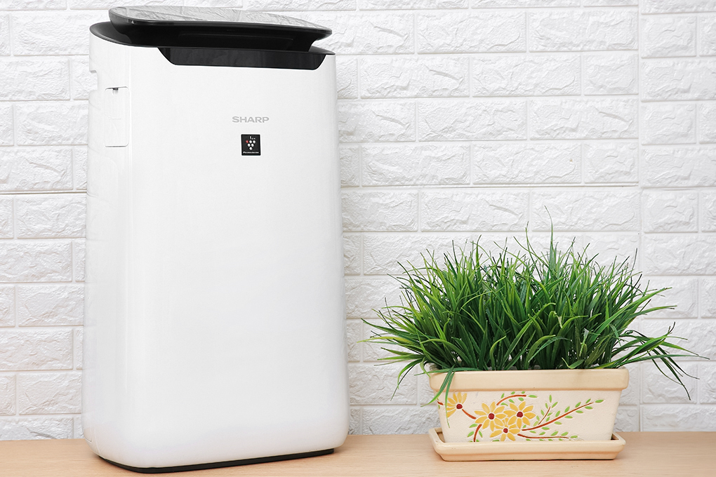 Máy lọc không khí Sharp FP-J60E-W 38W Màu Trắng