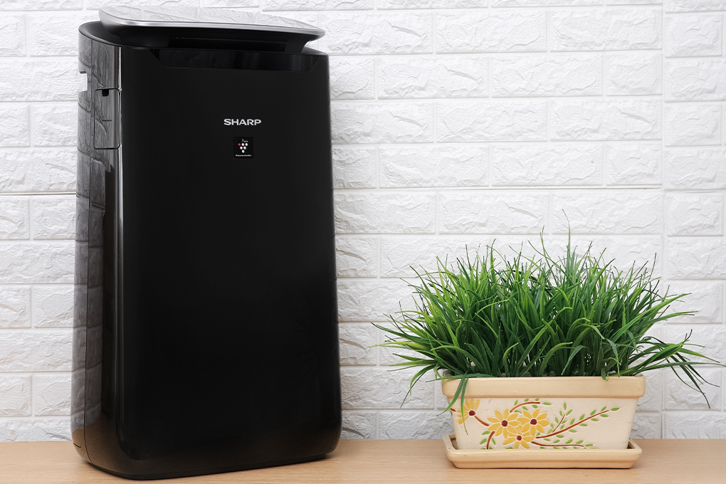 Máy lọc không khí Sharp FP-J80EV-H 48W Màu Đen
