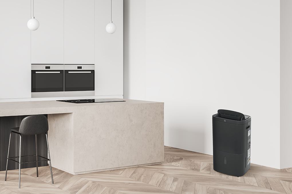 Máy hút ẩm kết hợp lọc không khí Electrolux EDH16TRBD3 Màu Đen