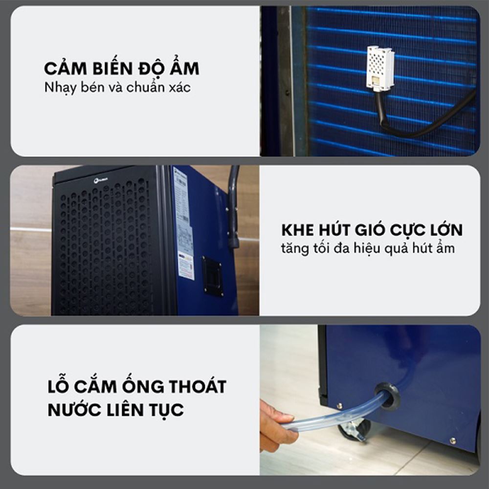 Máy hút ẩm Fujihaia DH70BL Màu Xanh đen