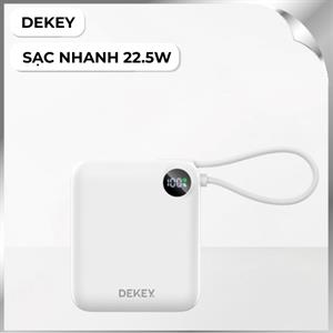 Dekey Power Pioneer 22.5W P2786