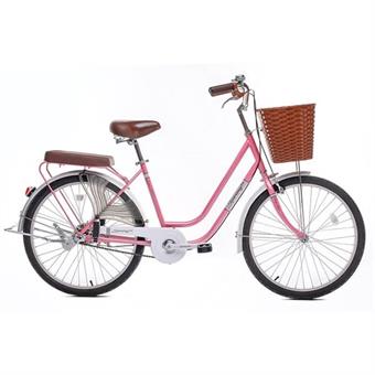 Xe Đạp Đường Phố City Thống Nhất LD 24-02 24 inch