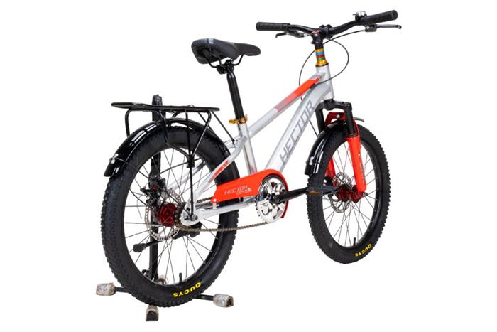 Xe đạp trẻ em nam Hector Ares 2B 20 inch Xám Đỏ Màu Xám nhạt