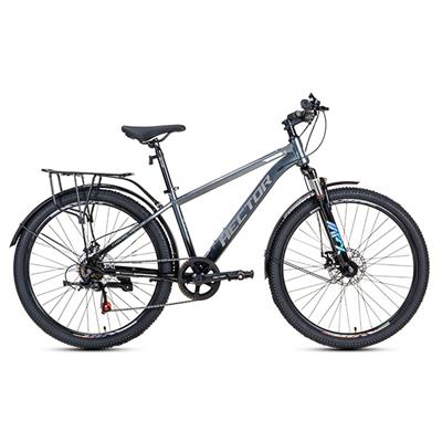 Xe Đạp Địa Hình Hector STRONG 2B 26 inch Xám