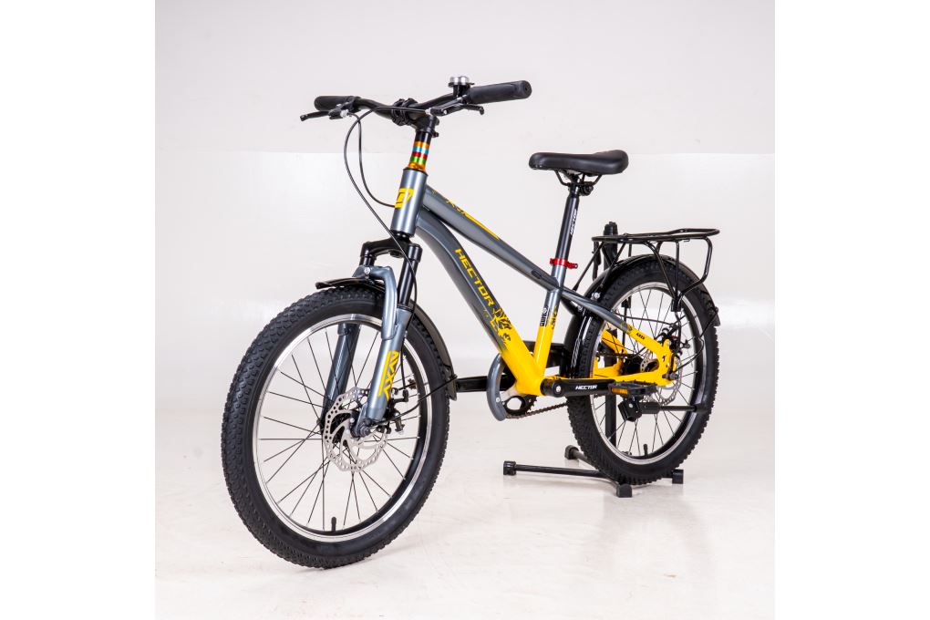 Xe đạp trẻ em nam Hector Ares 2B 20 inch Xám Vàng Màu Xám/Vàng