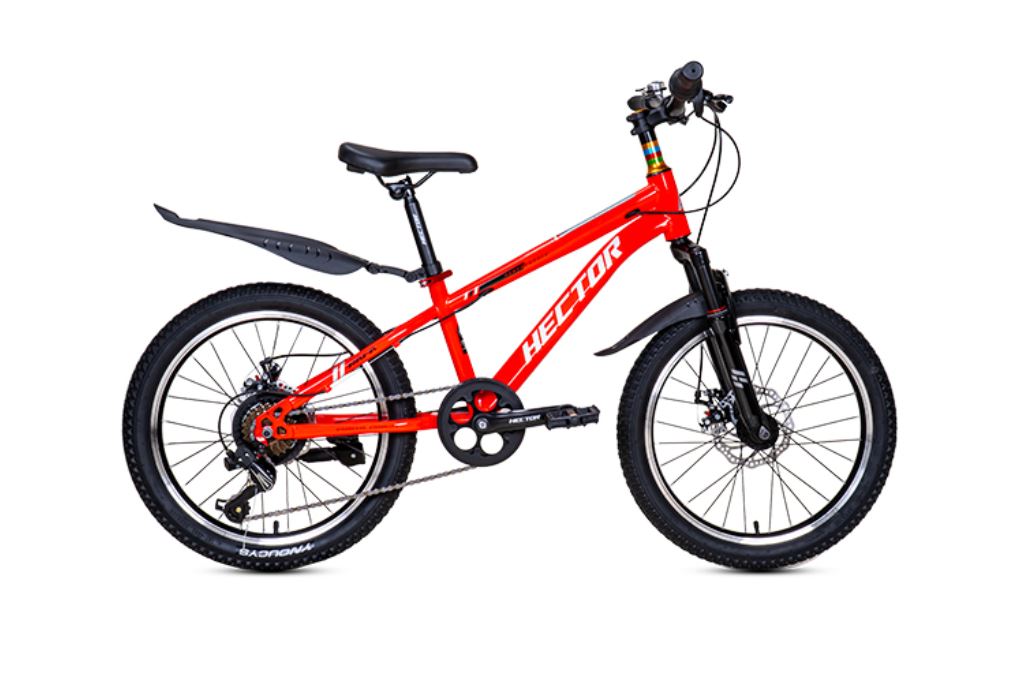 Xe đạp trẻ em nam Hector Rafa 2 20 inch Đỏ Trắng Màu Xám - Đỏ