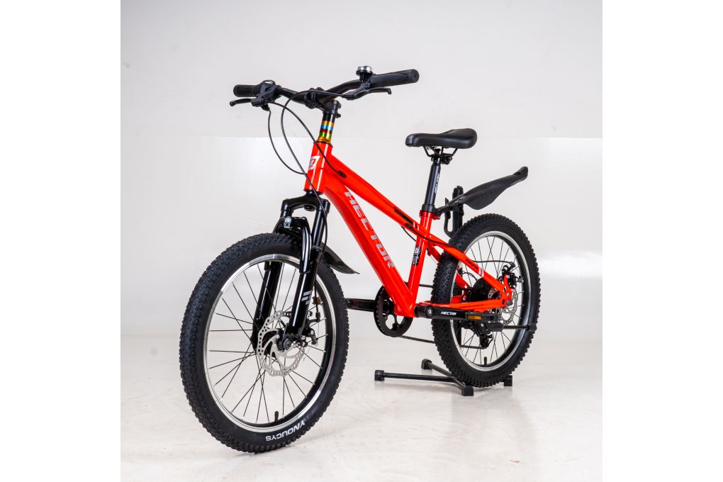 Xe đạp trẻ em nam Hector Rafa 2 20 inch Đỏ Trắng Màu Xám - Đỏ