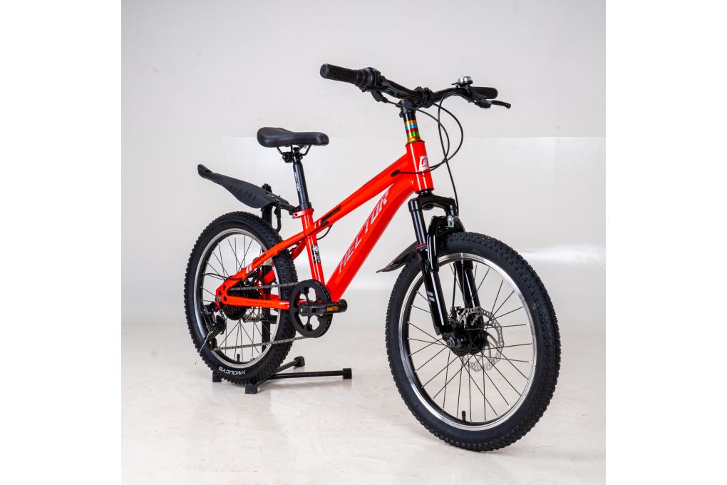 Xe đạp trẻ em nam Hector Rafa 2 20 inch Đỏ Trắng Màu Xám - Đỏ
