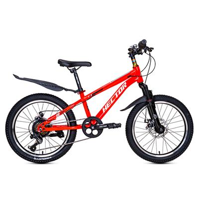 Xe đạp trẻ em nam Hector Rafa 2 20 inch Đỏ Trắng