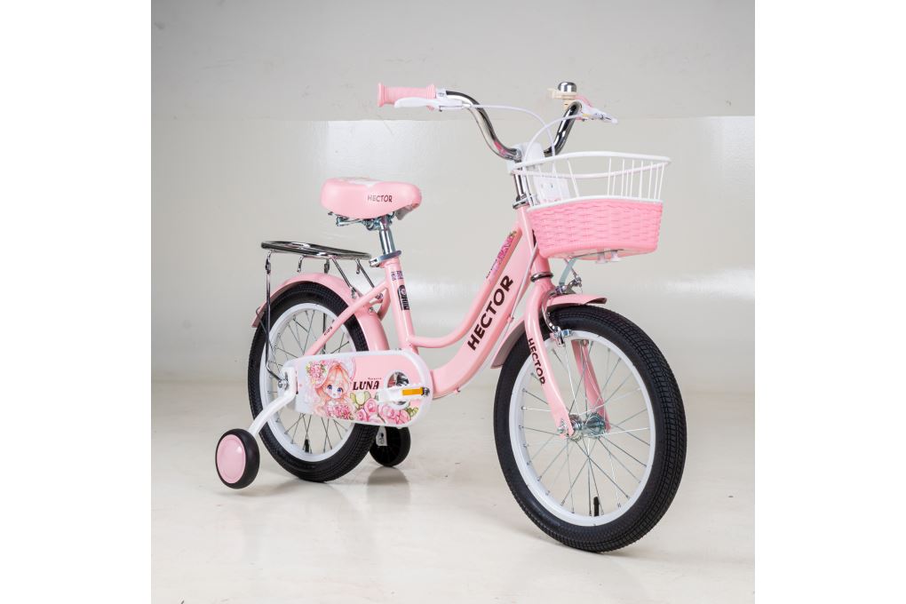 Xe đạp trẻ em nữ Hector Luna 3B 16 inch Hồng Màu Hồng
