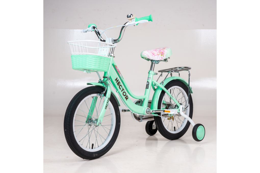 Xe đạp trẻ em nữ Hector Luna 3B 16 inch Xanh Ngọc Màu Xanh ngọc