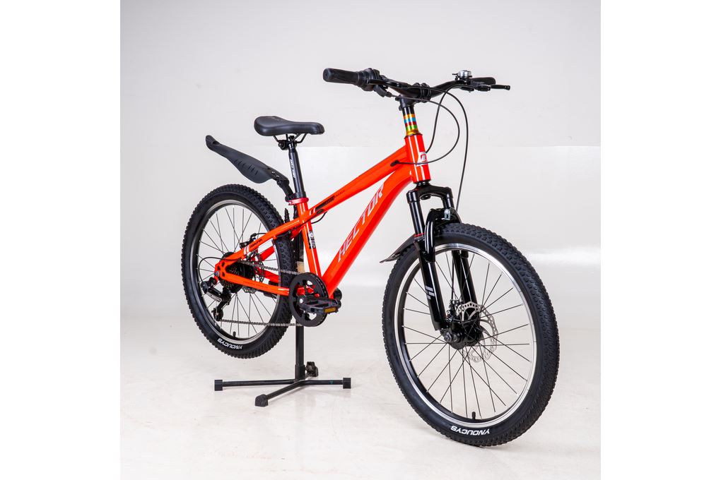 Xe Đạp Địa Hình HECTOR RAFA 3 22 INCH Đỏ Xám Màu Đỏ