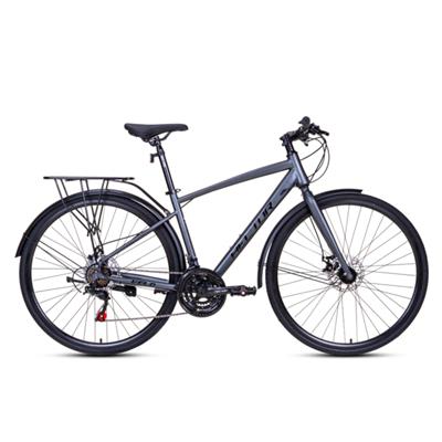 Xe Đạp Đường Phố Thể Thao HECTOR VELO 700C Xám