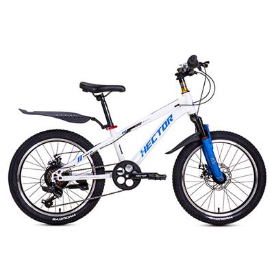 Xe Đạp Trẻ Em Nam HECTOR RAFA 2 20 INCH Trắng Xanh dương