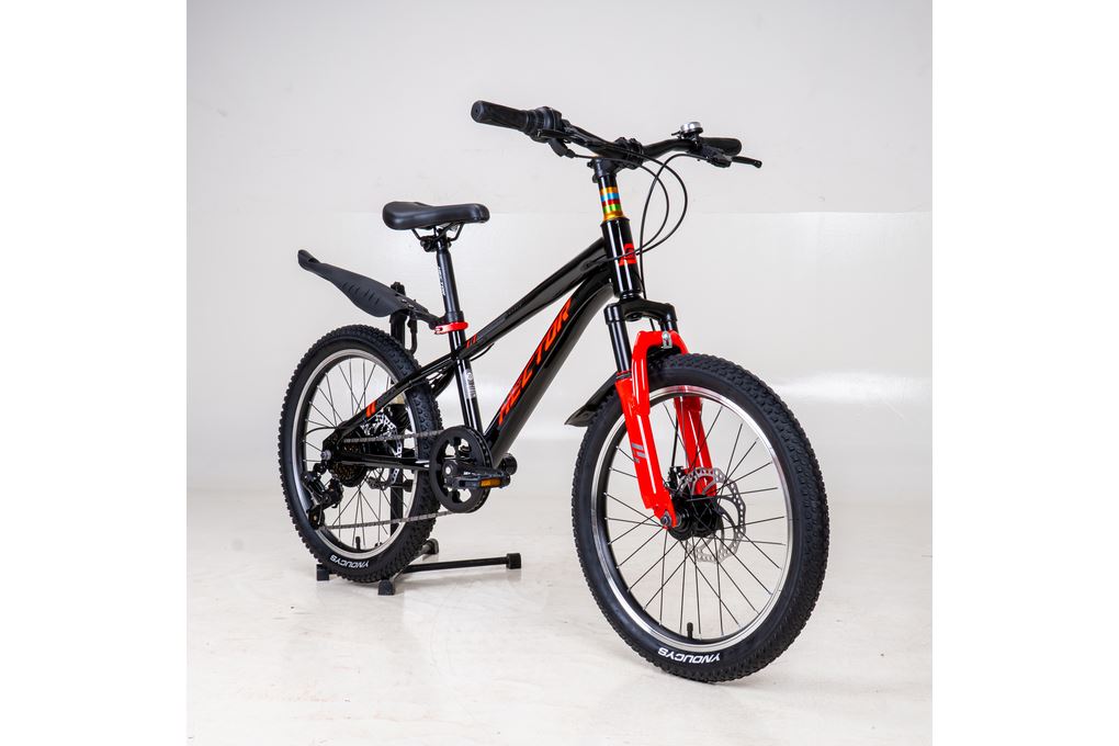 Xe Đạp Trẻ Em Nam HECTOR RAFA 2 20 INCH Đen Đỏ Màu Đen
