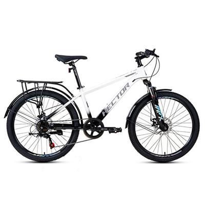 Xe Đạp Địa Hình HECTOR STRONG 1B 24 INCH Trắng