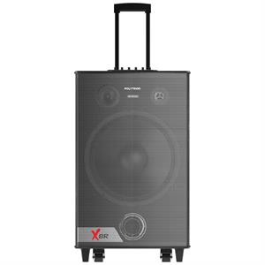 Trolley Speaker Polytron PAS PRO10F7