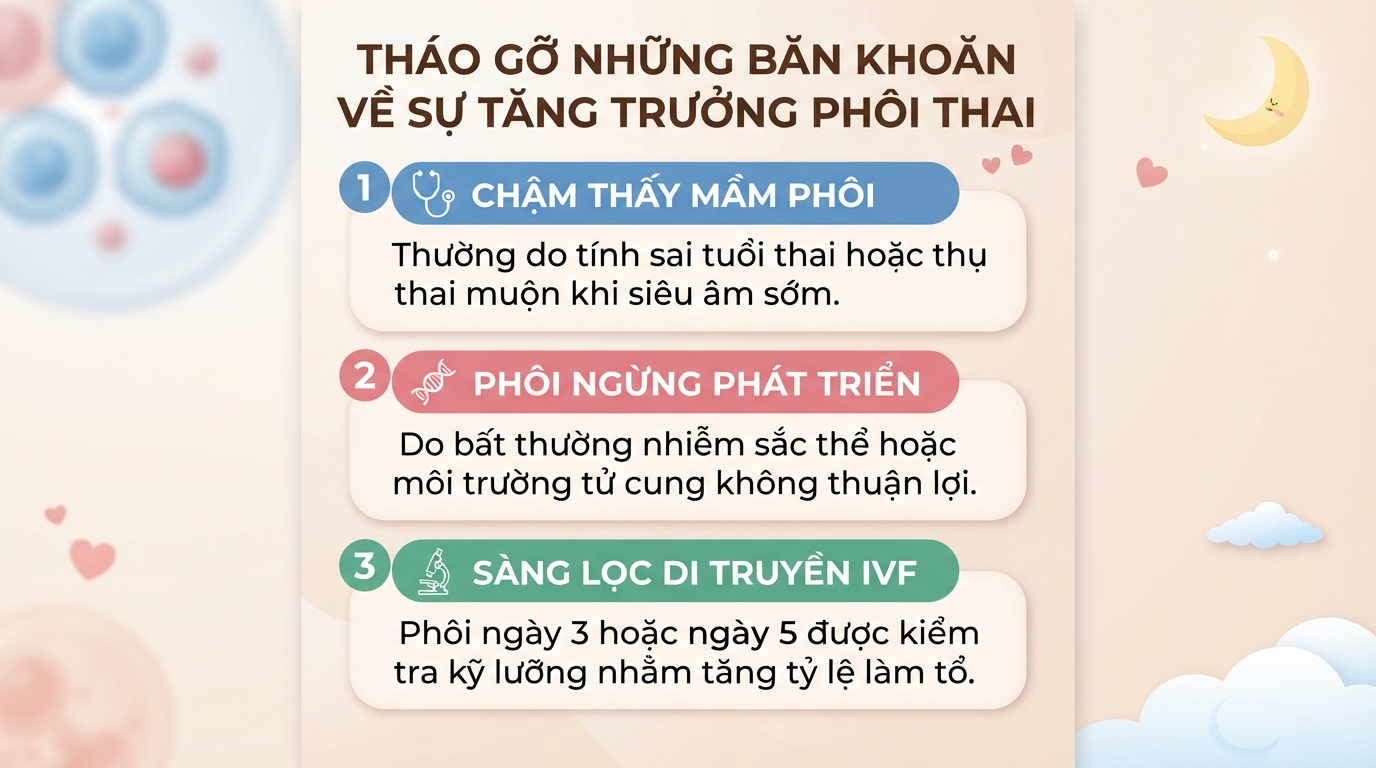 Phôi là gì? Quá trình hình thành và phát triển của phôi thai