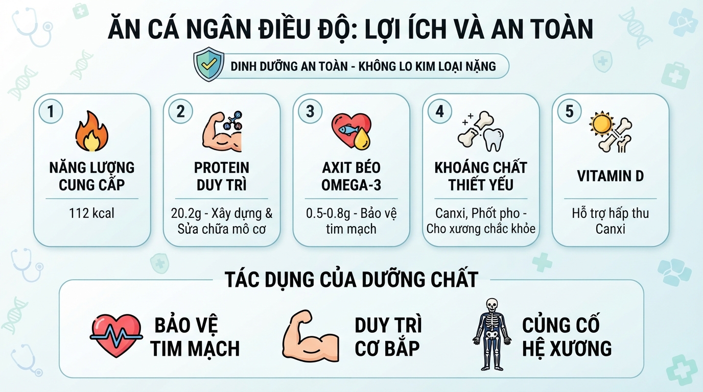 Ăn cá điều độ giúp bổ sung dinh dưỡng an toàn mà không lo tích tụ kim loại.