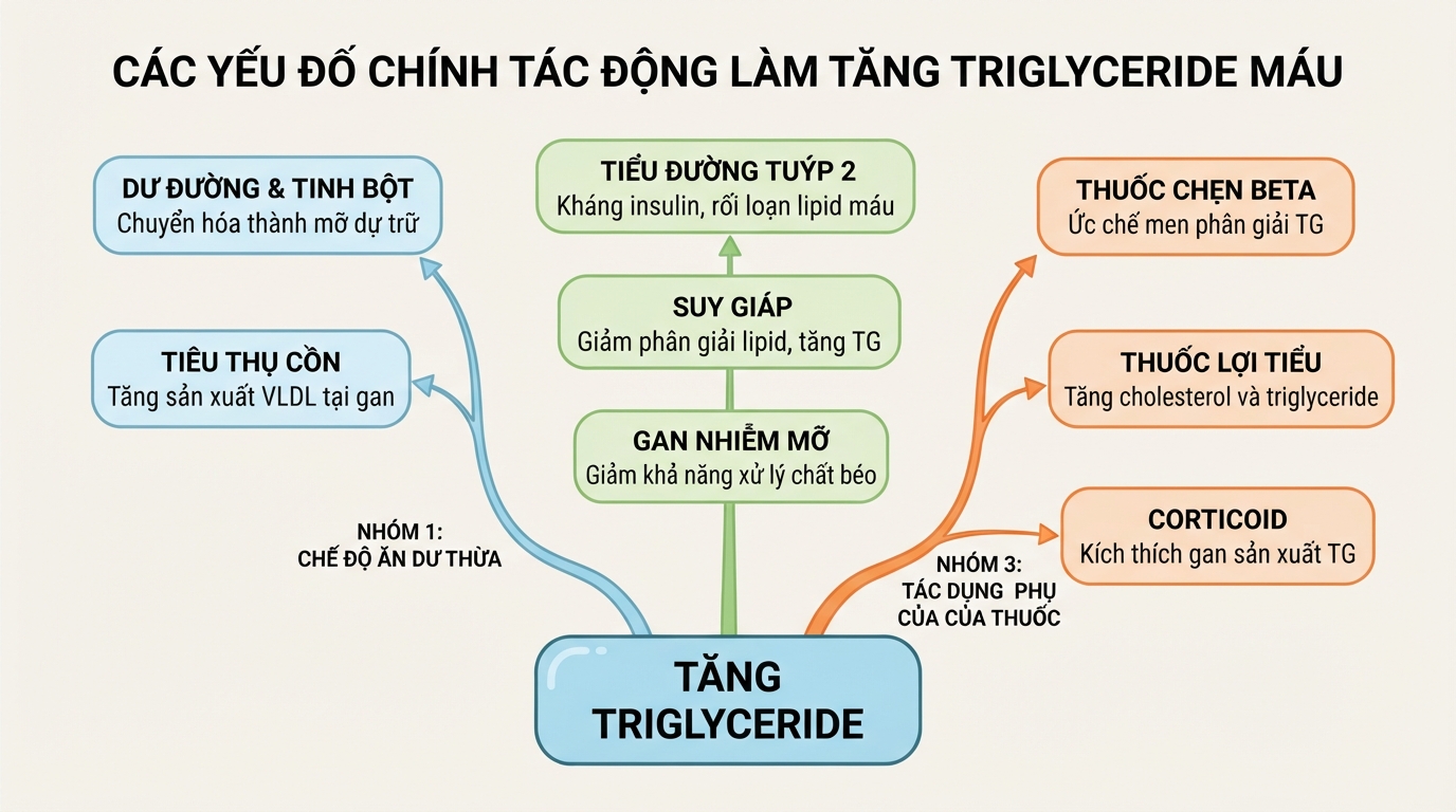Ba nhóm yếu tố chính trực tiếp tác động làm chỉ số mỡ máu tăng vọt.