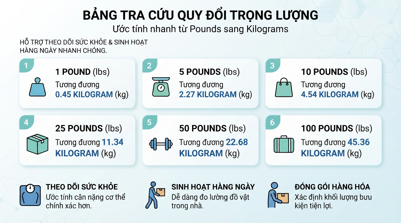 Bảng tra cứu quy đổi hỗ trợ ước tính nhanh trọng lượng cho sinh hoạt và theo dõi sức khỏe.