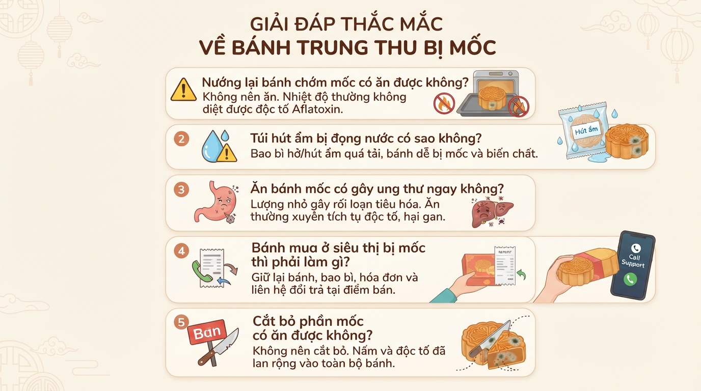 Bánh trung thu mốc ăn được không? Nguyên nhân và xử lý đúng cách