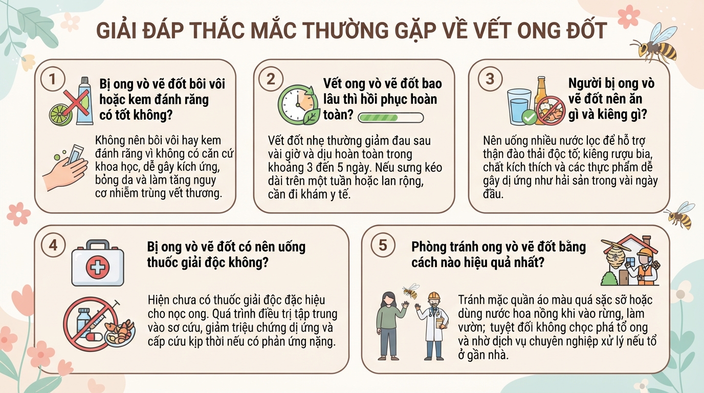 Bị ong vò vẽ đốt 1 nốt có sao không? Cách sơ cứu đúng cách