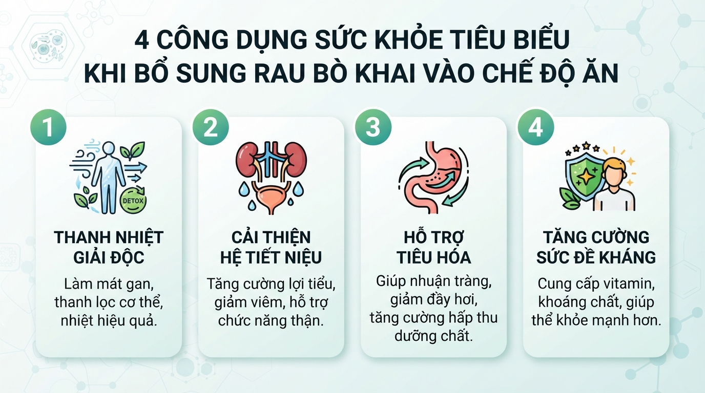 Bốn công dụng sức khỏe tiêu biểu khi bổ sung rau bò khai vào chế độ ăn.