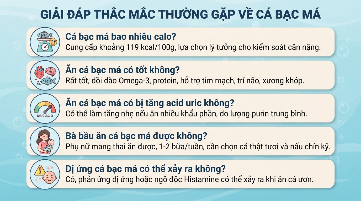 Cá bạc má có tác dụng gì? Giá trị dinh dưỡng và lợi ích sức khoẻ