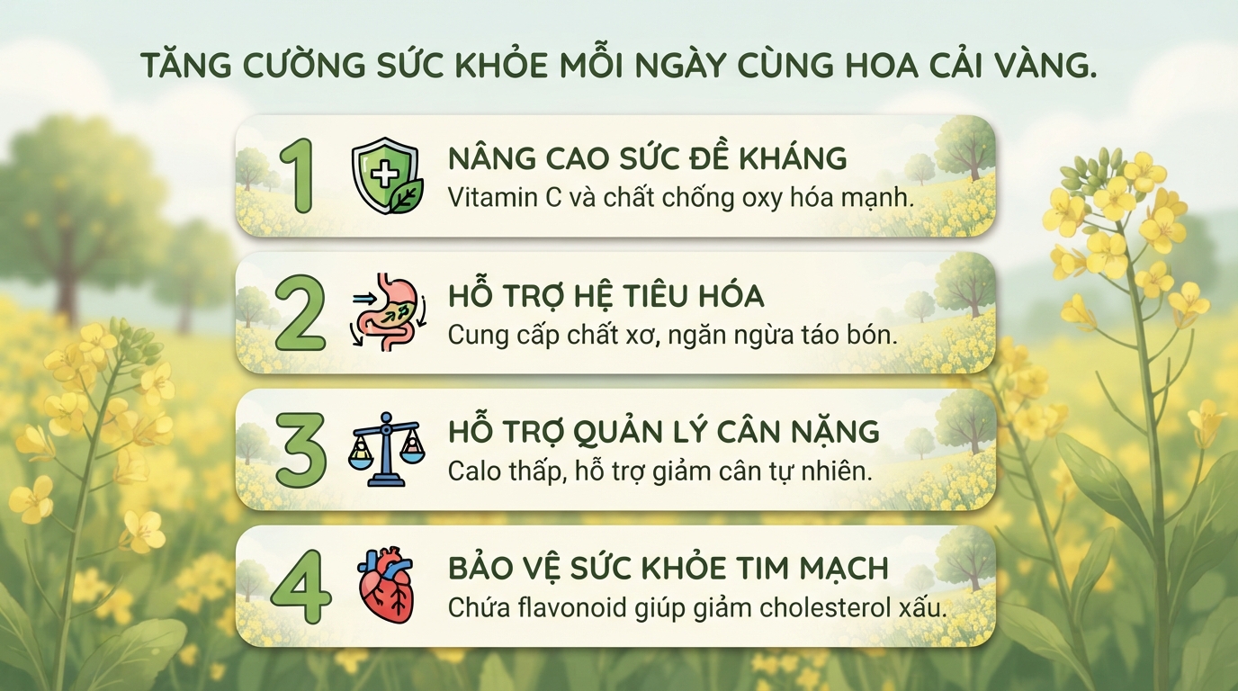 Hoa cải vàng có ăn được không? Giá trị dinh dưỡng và cách sử dụng