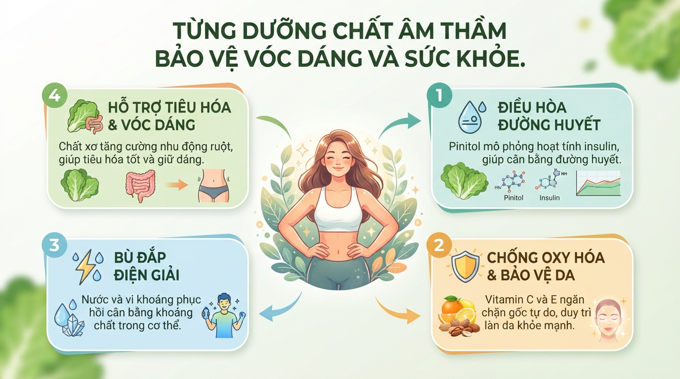 Xà lách kim cương: Giá trị dinh dưỡng, công dụng và cách sử dụng hợp lý