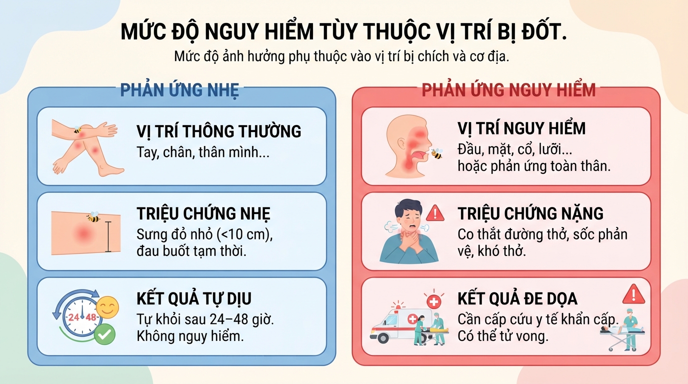 Bị ong vò vẽ đốt 1 nốt có sao không? Cách sơ cứu đúng cách