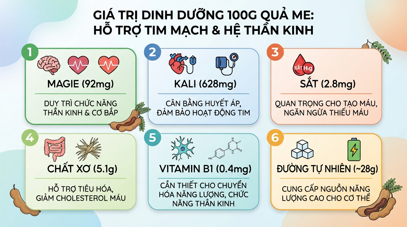 Các chỉ số vi chất thiết yếu trong 100g quả me giúp hỗ trợ tim mạch và hệ thần kinh hiệu quả.