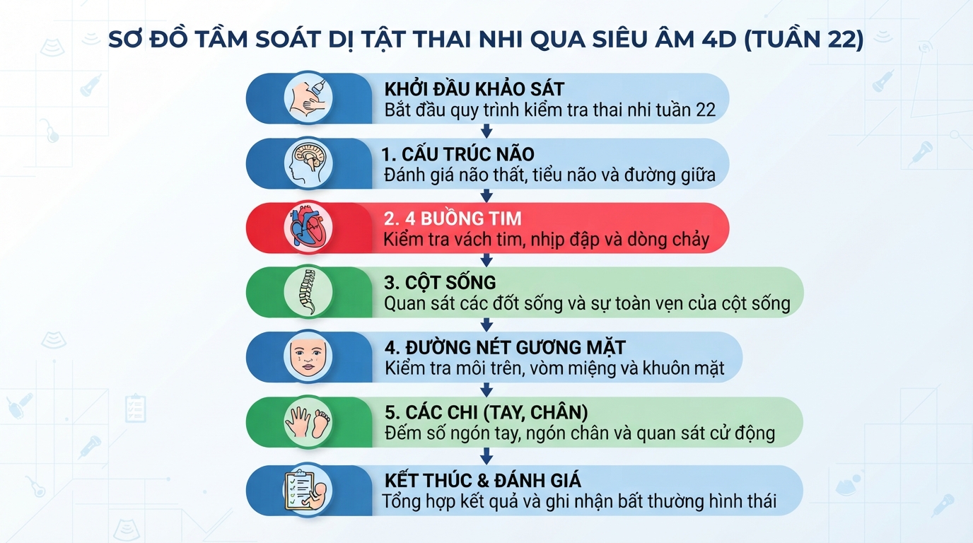 Các cơ quan trọng điểm được kiểm tra tầm soát dị tật qua siêu âm 4D.