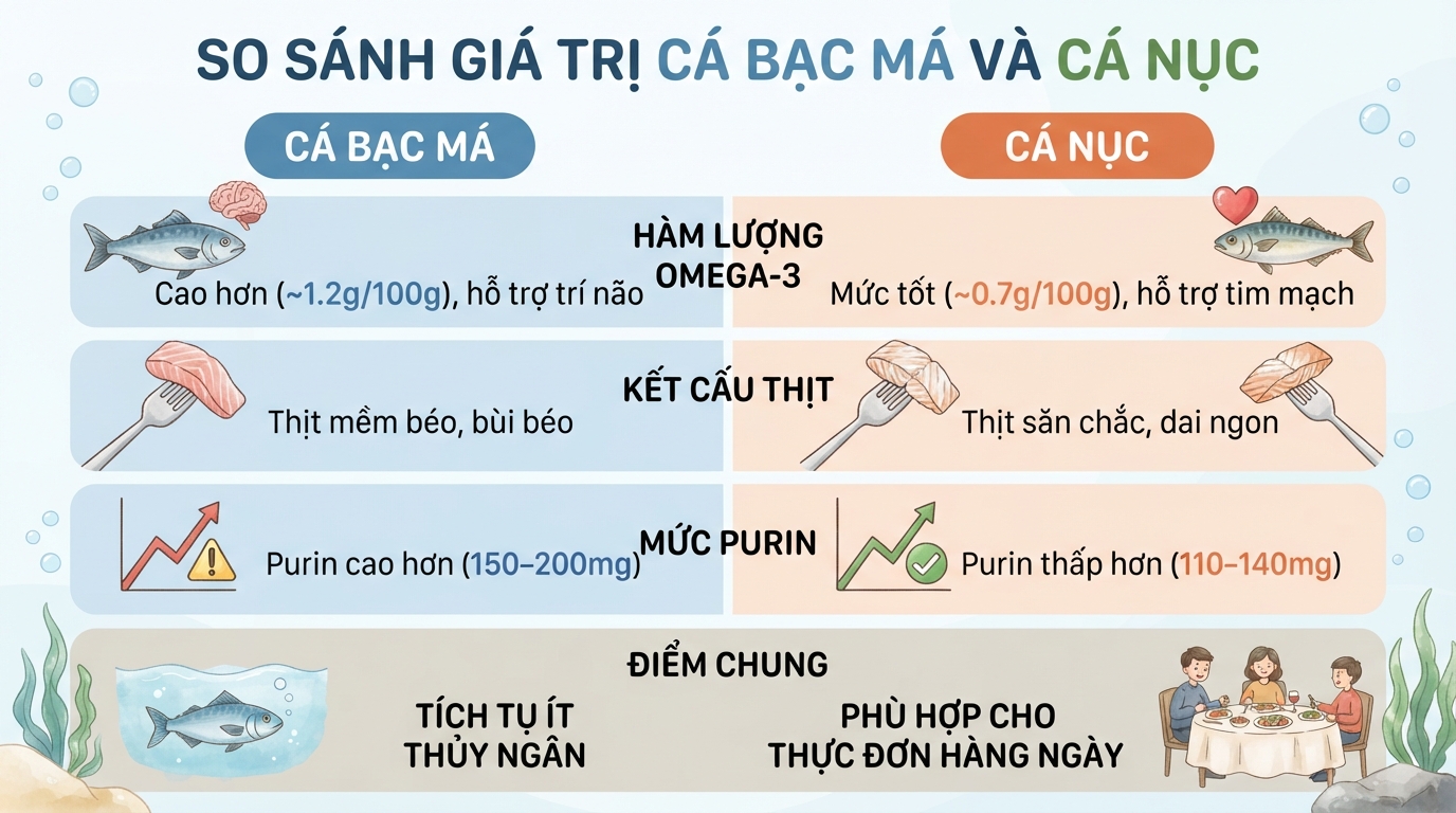 Cá bạc má có tác dụng gì? Giá trị dinh dưỡng và lợi ích sức khoẻ