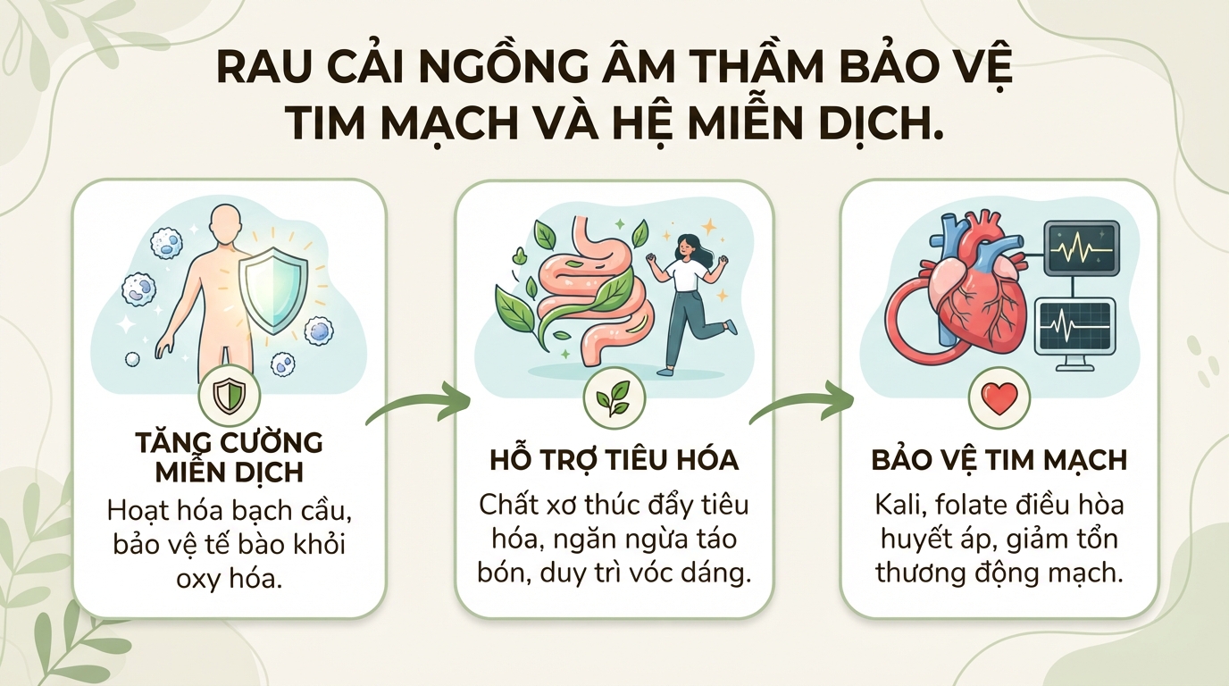 Tác dụng của cải ngồng đối với sức khỏe và cách chế biến