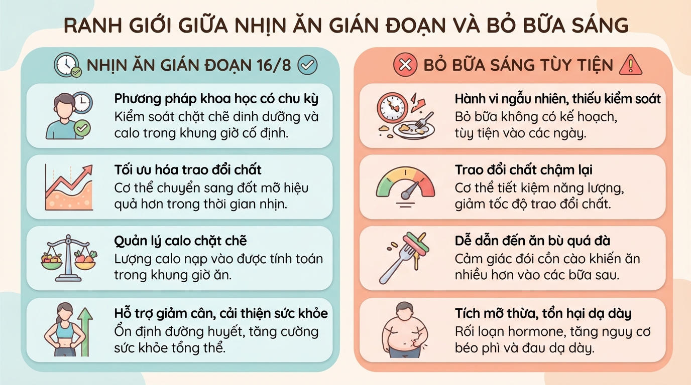 Nhịn ăn sáng có giảm cân không? Góc nhìn khoa học và lưu ý