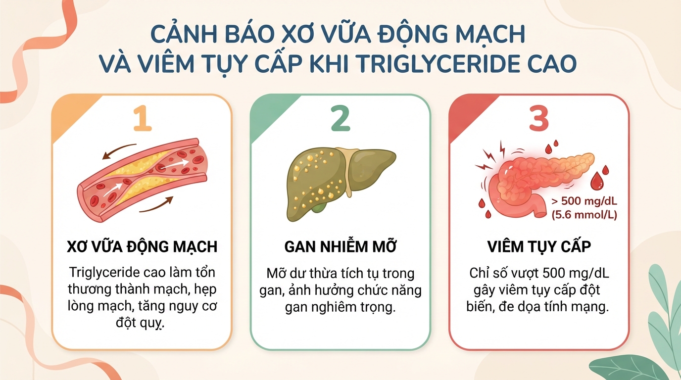 Triglyceride là gì? Ý nghĩa các mức chỉ số mỡ máu và cách kiểm soát