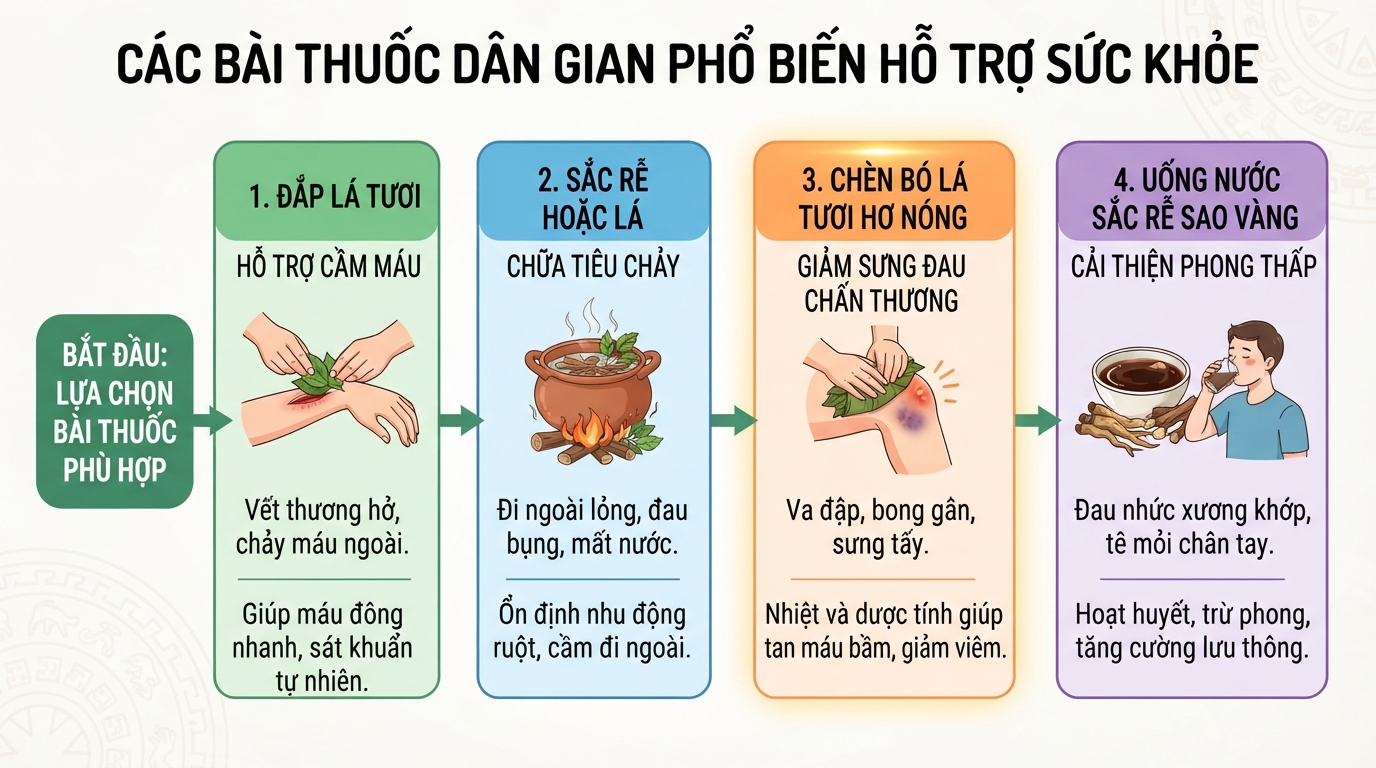 Các ứng dụng bài thuốc dân gian phổ biến hỗ trợ sức khỏe.