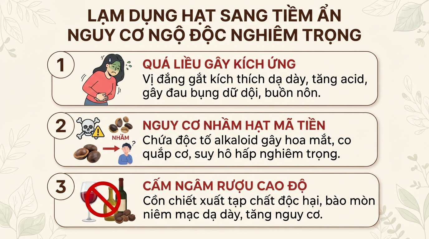 Hạt sang: Công dụng dân gian và lưu ý khi sử dụng