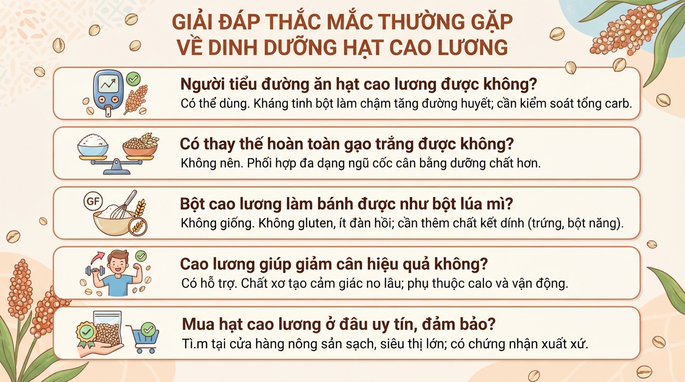 Cây cao lương có tác dụng gì? Giá trị dinh dưỡng và cách dùng