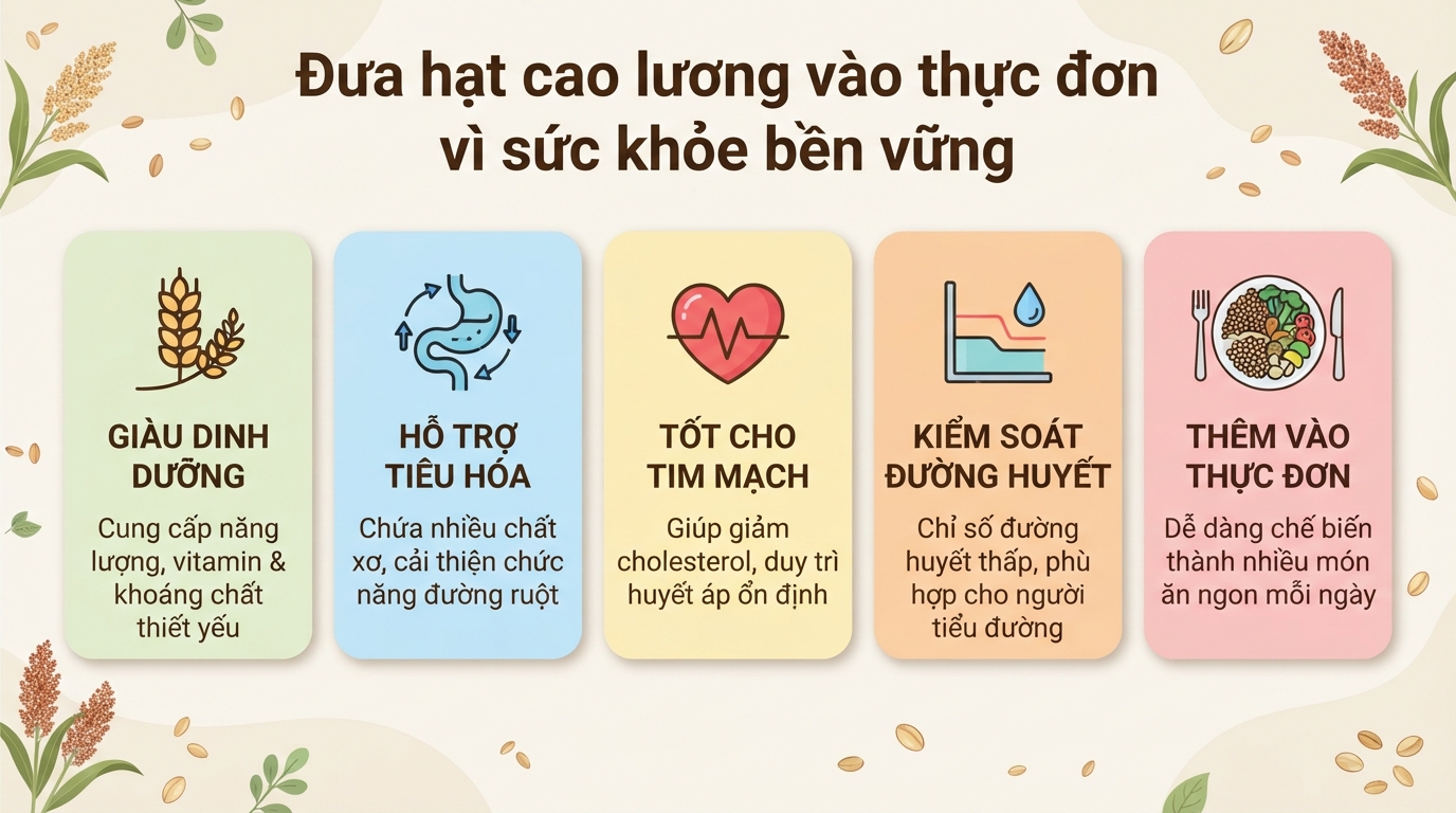 Cây cao lương có tác dụng gì? Giá trị dinh dưỡng và cách dùng