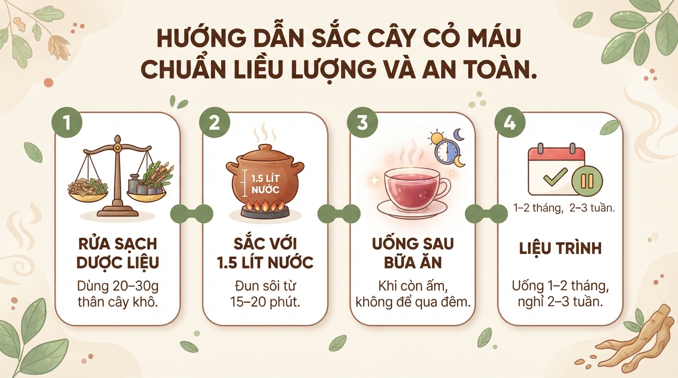 Cây cỏ máu có tác dụng gì? Cách dùng và đối tượng cần thận trọng
