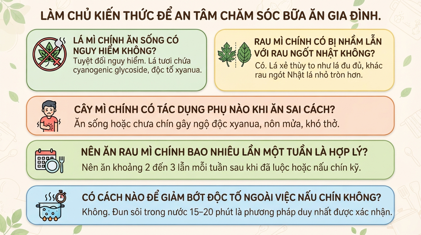 Cây mì chính là gì? Công dụng và lưu ý khi sử dụng