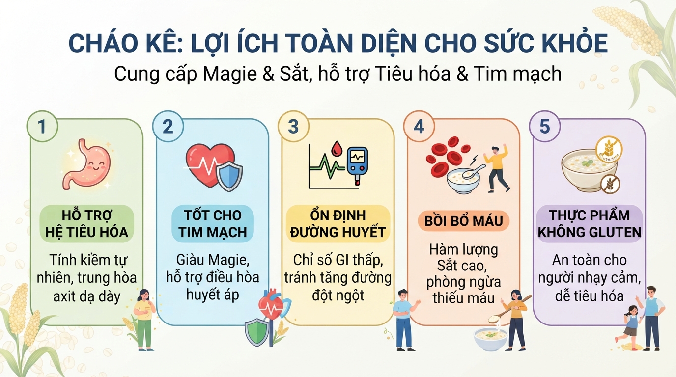 Cháo kê cung cấp Magie và sắt giúp hỗ trợ hệ tiêu hóa và tim mạch hiệu quả.