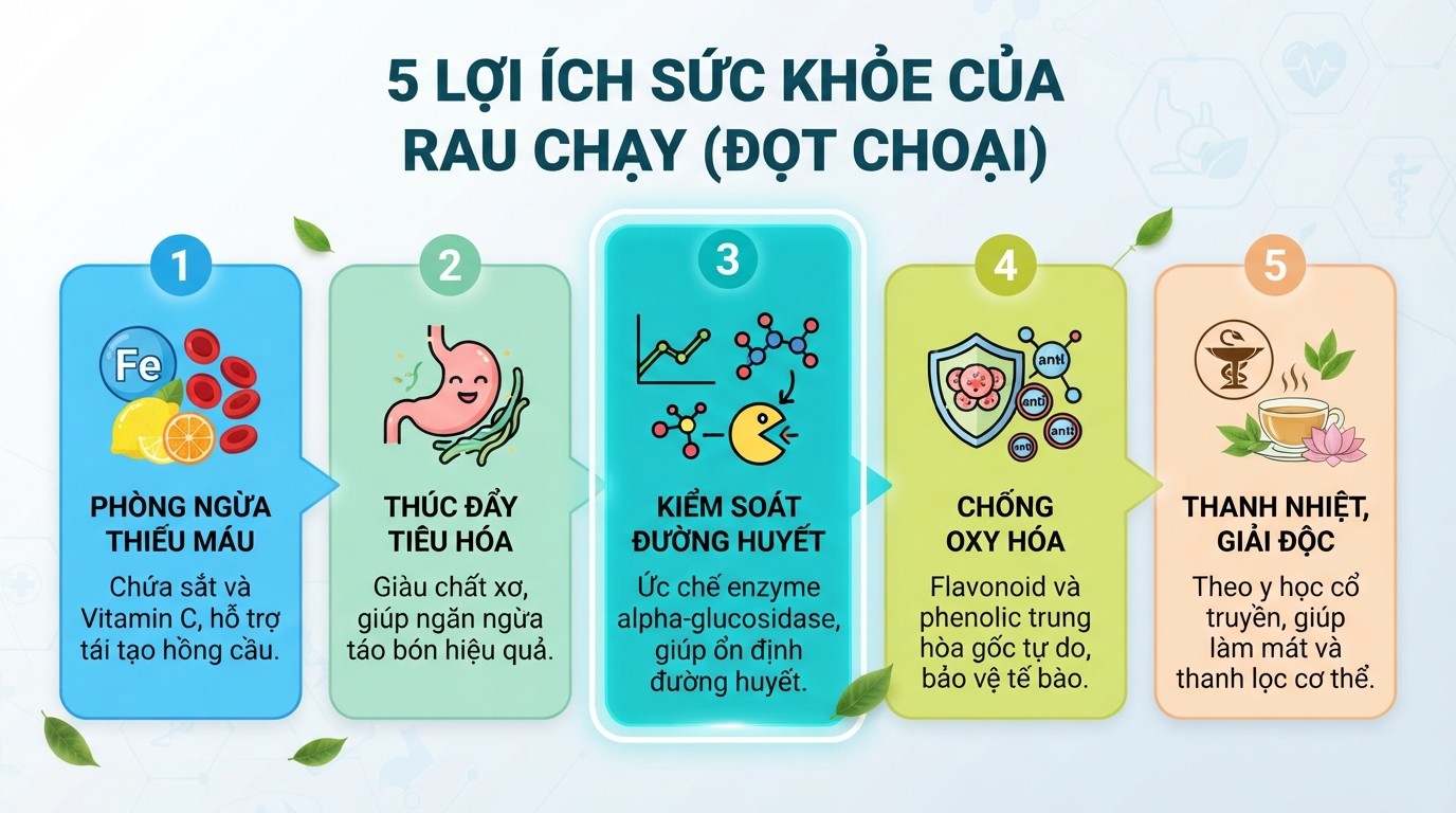 Chiết xuất đọt choại hỗ trợ ức chế enzyme alpha-glucosidase giúp ổn định đường huyết.